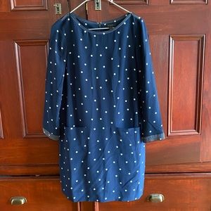 JCREW Polk a Dot Dress